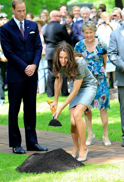 Kate sait planter un arbre