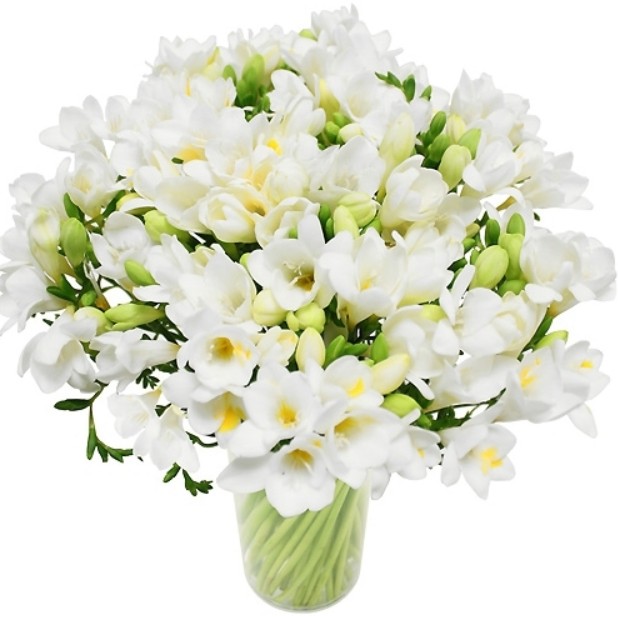 Une brassée de frésias