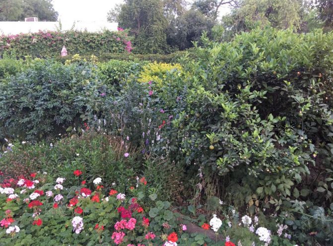Une soirée fleurie et odorante