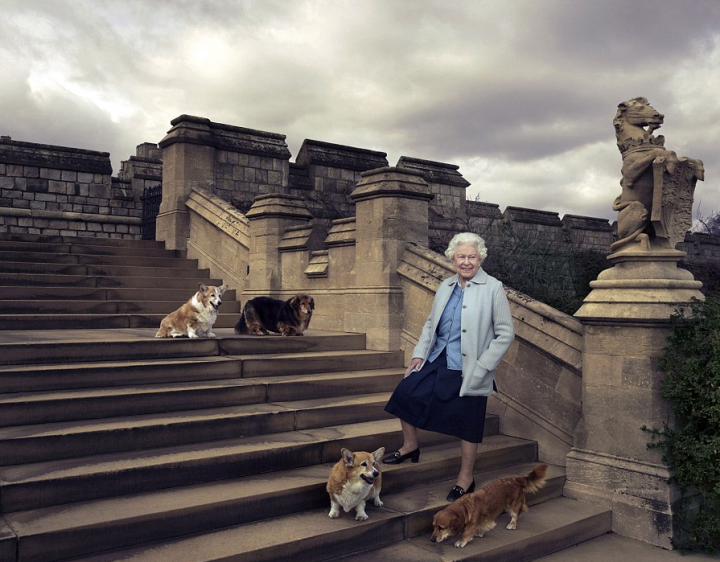 Les meilleurs amis de la reine sur les marches de Windsor castle