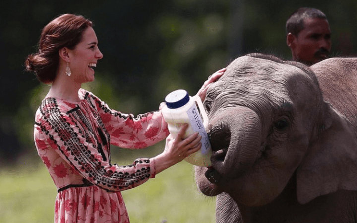 kate-robe-topshop-boheme-biberon-elephant