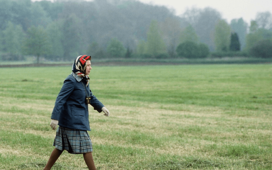 Une reine en liberté